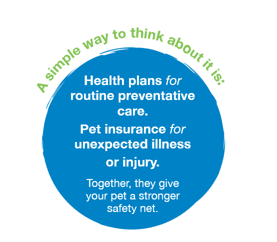 stay well healthcare plan
